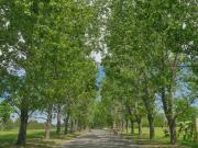 Venta terreno al golf en Everlinks Lujan