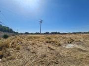 Venta Terreno Avenida Hidalgo Leon guanajuato