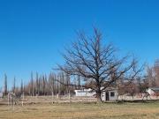 VENTA TERRENO BARRIO CERRADO VIEJO ROBLE