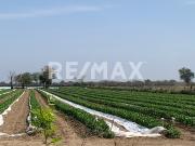 Venta terreno campestre Cadereyta Jimenez Nuevo Leon... Venta terreno campestre Cadereyta Jimenez Nuevo Leon...