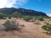 VENTA TERRENO CAMPESTRE EN LOS PINOS