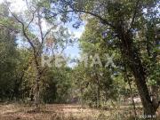 Venta terreno Campestre residencial en Las Boquillas...