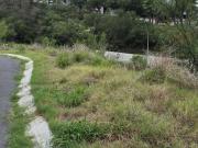 VENTA TERRENO CAROLCO