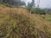 VENTA TERRENO CASI PLANO EN CONOCOTO – VALLE DE LOS...