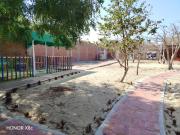VENTA TERRENO CERCADO EN LOS EJIDOS PIURA