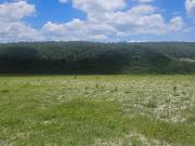 VENTA TERRENO COLONIA GUADALUPE VICTORIA