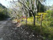 Venta Terreno Comercial Fracc. Campestre La Montana En...