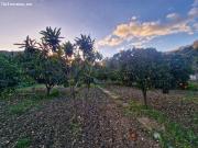 VENTA TERRENO CON CASA. ALREDEDORES UBRIQUE