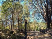 Venta terreno con casa, camino al Volcán Pucón