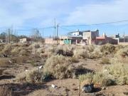 VENTA TERRENO COOP. AMUPEPEN CENTENARIO