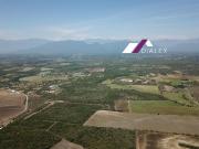 VENTA Terreno de 50,000 m2 en LOS PALMITOS Cadereyta,...