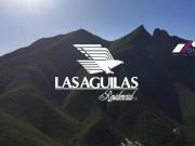 VENTA Terreno de 534 m2 Fraccionamiento LAS AGUILAS...