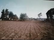 VENTA TERRENO DE 8316 M2 EN AYAPANGO DE RAMOS MILLÁN,...