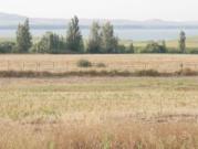 VENTA TERRENO DE CULTIVO ARCOS DE LA FRA