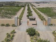 VENTA TERRENO EN ACCA PARACAS – PISCO – HERMOSO CONDOMINIO VENTA TERRENO EN ACCA PARACAS – PISCO – HERMOSO CONDOMINIO