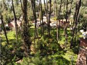 VENTA TERRENO EN AVANDARO