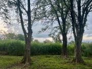 Venta Terreno en Chacras del Ocho