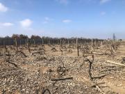 Venta Terreno en Chincha Alta