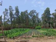 VENTA TERRENO EN CIENEGUILLA 609 349 28