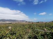 VENTA TERRENO EN CONDOMINIO EN AZPITIA TERRENO X