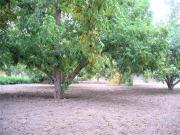 VENTA | TERRENO EN CONDOMINIO PRIVADO | ICA | 7,457 M2