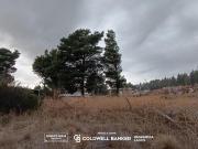 Venta Terreno en Dina Huapi