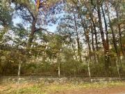 Venta terreno en Fraccionamiento Del Bosque, Cuernavaca T65