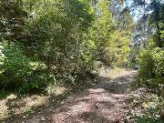 Venta terreno en Fraccionamiento Del Bosque, Cuernavaca T69