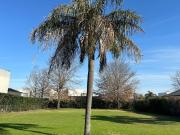 Venta Terreno en Funes Hills Cadaques Av. Ppal