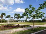 Venta Terreno en Kikteil Yucatan al norte de Merida...