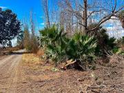 VENTA TERRENO EN LAS PRIMAVERAS, CORRALITOS