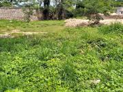 VENTA TERRENO EN MÉRIDA, ZONA CHICHÍ SUÁREZ