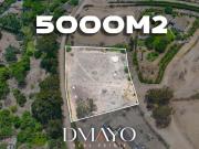 Venta Terreno en Pacachacamac 5.000 m2 Independizado,...
