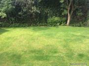 Venta terreno, en privada Jardines del pedregal Venta terreno, en privada Jardines del pedregal