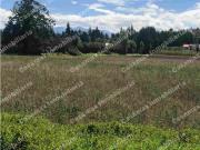 VENTA TERRENO 4.450 M2 EN PUEMBO CERCA CLUB ARRAYANES