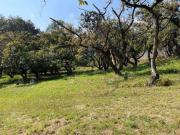 Venta Terreno En Santa Maria Ahuacatitlan T64