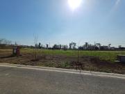 VENTA TERRENO EN SANTA SOFIA PILAR DEL ESTE