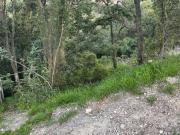 VENTA Terreno en SAYAVEDRA GRAN OPORTUNIDAD