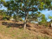 venta Terreno en Tepoztlan Morelos Chichco