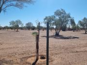 venta terreno fracc. campestre real del alamito, A UNA...