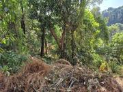 Venta terreno Fraccionamiento Del Bosque, Cuernavaca T72