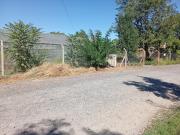 Venta Terreno frente ruta 22 1800mts Neuquen Capital