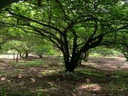 Venta terreno Guayllabamba, 1074 m2 cerca al zoológico