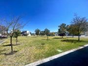 VENTA. Terreno habitacional de 200 metros, con...