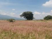 VENTA TERRENO HABITACIONAL EN SAN NICOLÁS OBISPO MORELIA...