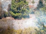 Venta Terreno Hacienda La Purísima, Ixtlahuaca, Edo. Mex Venta Terreno Hacienda La Purísima, Ixtlahuaca, Edo. Mex