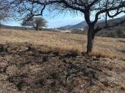 VENTA TERRENO LAS CAÑADAS