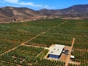Venta Terreno, Localidad Pan De Azúcar En Coquimbo. Th 2 23