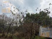 VENTA TERRENO LOMAS DE LA HERRADURA