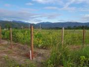 Venta Terreno / Lote en San Martin Juan Guerra